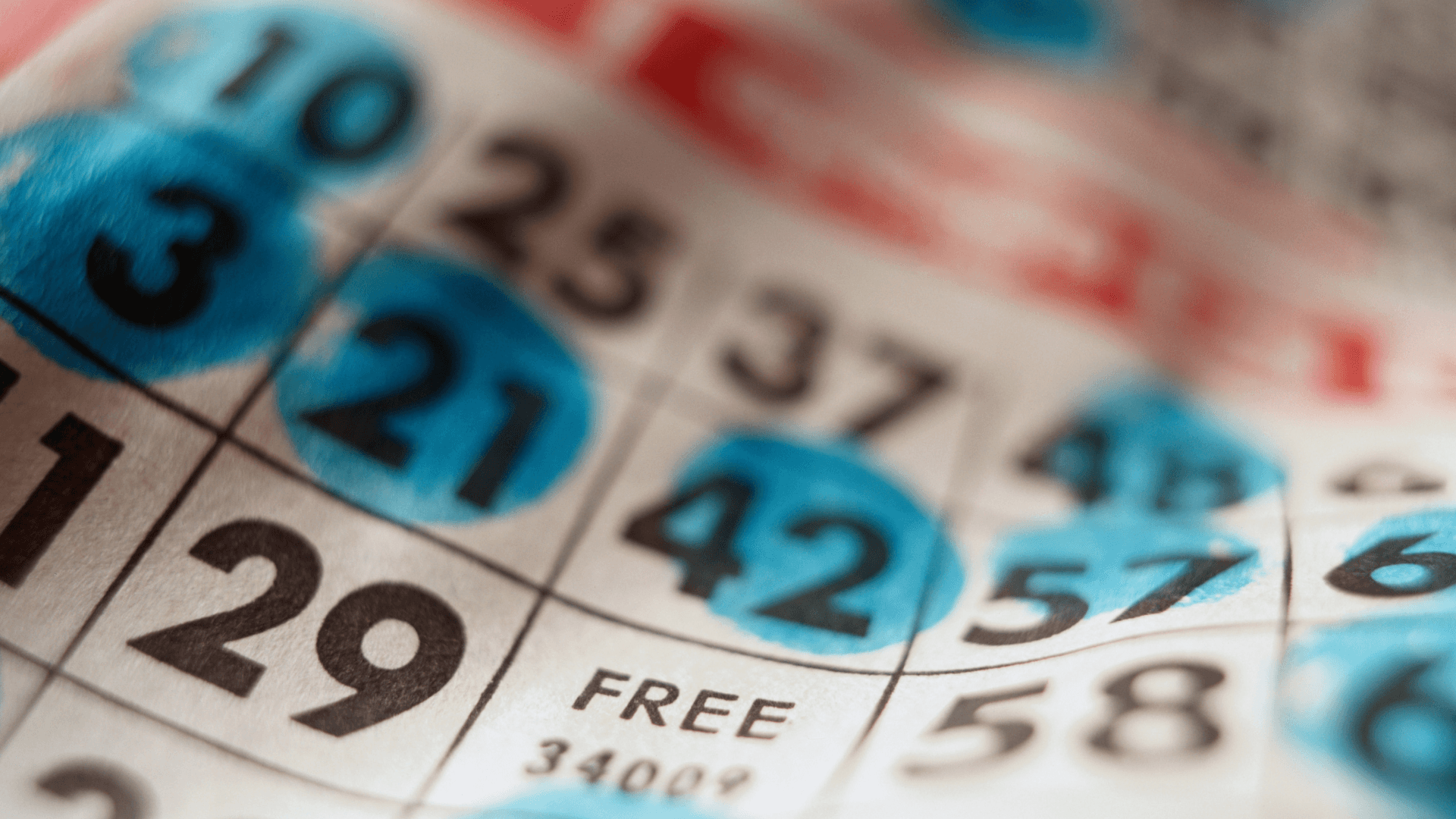 كل شيء عن بطاقات البنغو والمكالمات عبر الإنترنت image