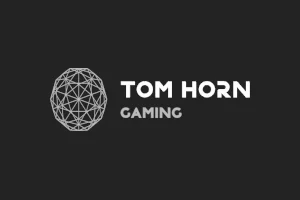 أفضل كازينو أونلاين تتضمن برمجيات Tom Horn Gaming في ٢٠٢٤